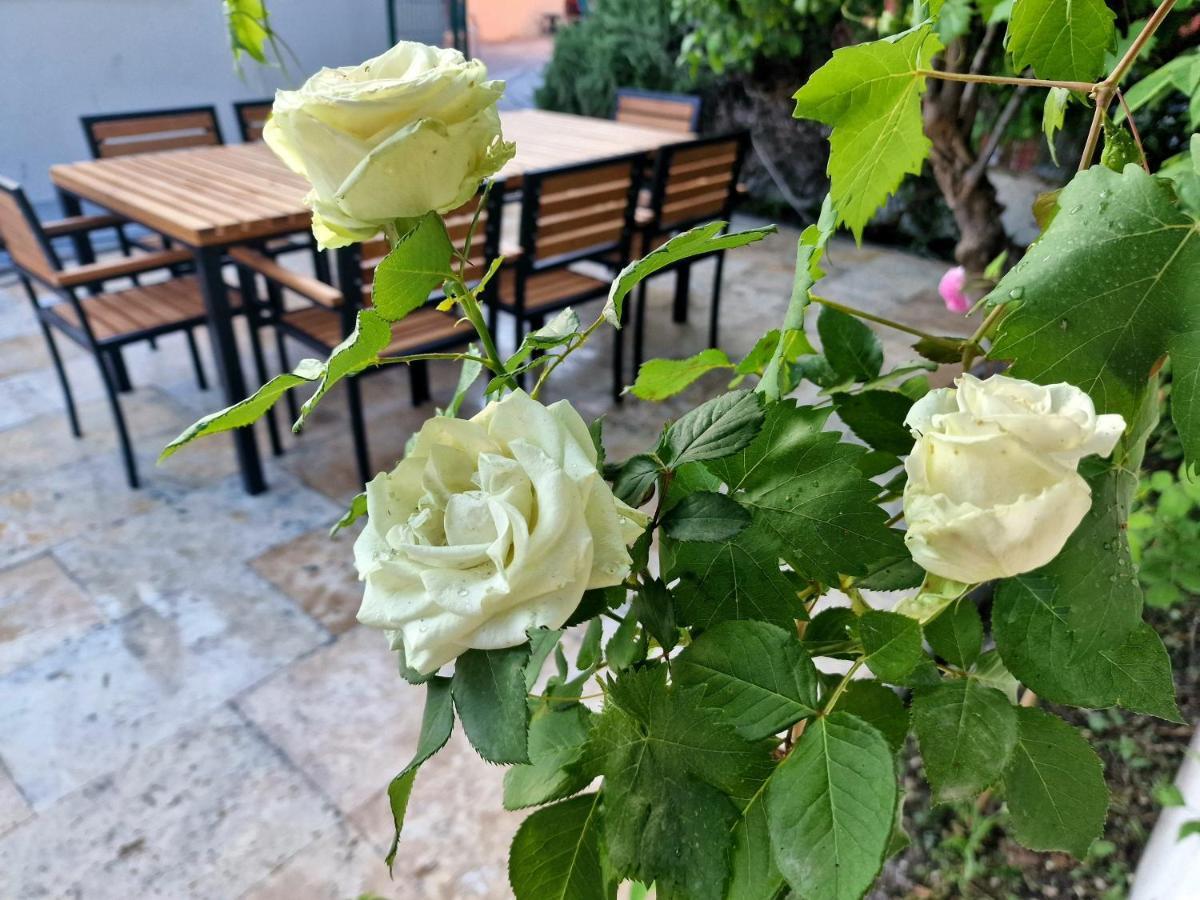 Premium Apartment Alba Rosa Split Zewnętrze zdjęcie
